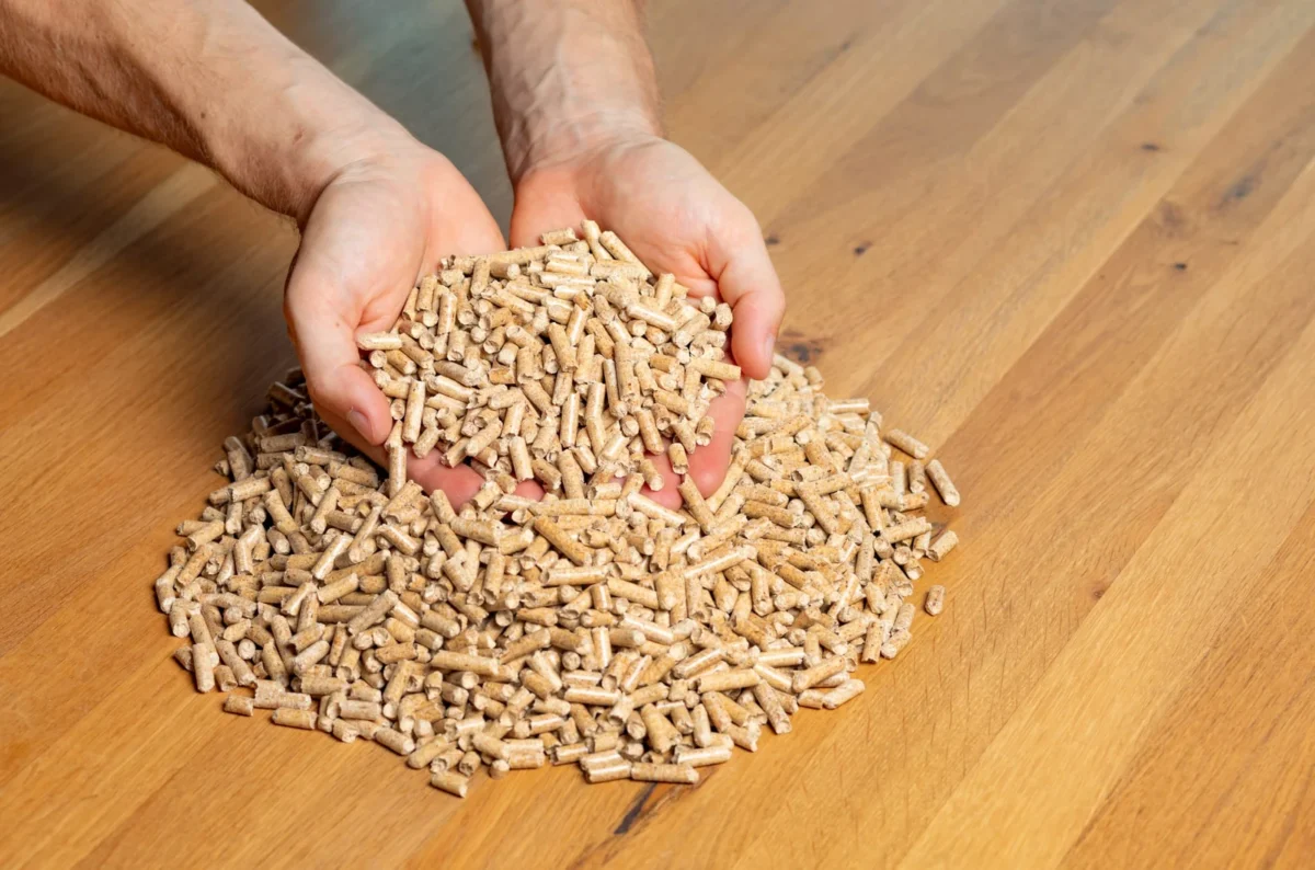 Zwei Hände halten helle Holzpellets über einer Holzfläche